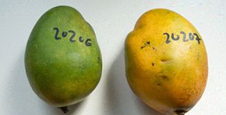 第三輪生物材料的浪潮已經(jīng)來到